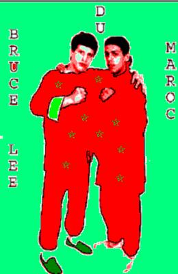 brucelee_maroc@bm.com    khalid_brucelee@hotmail.fr